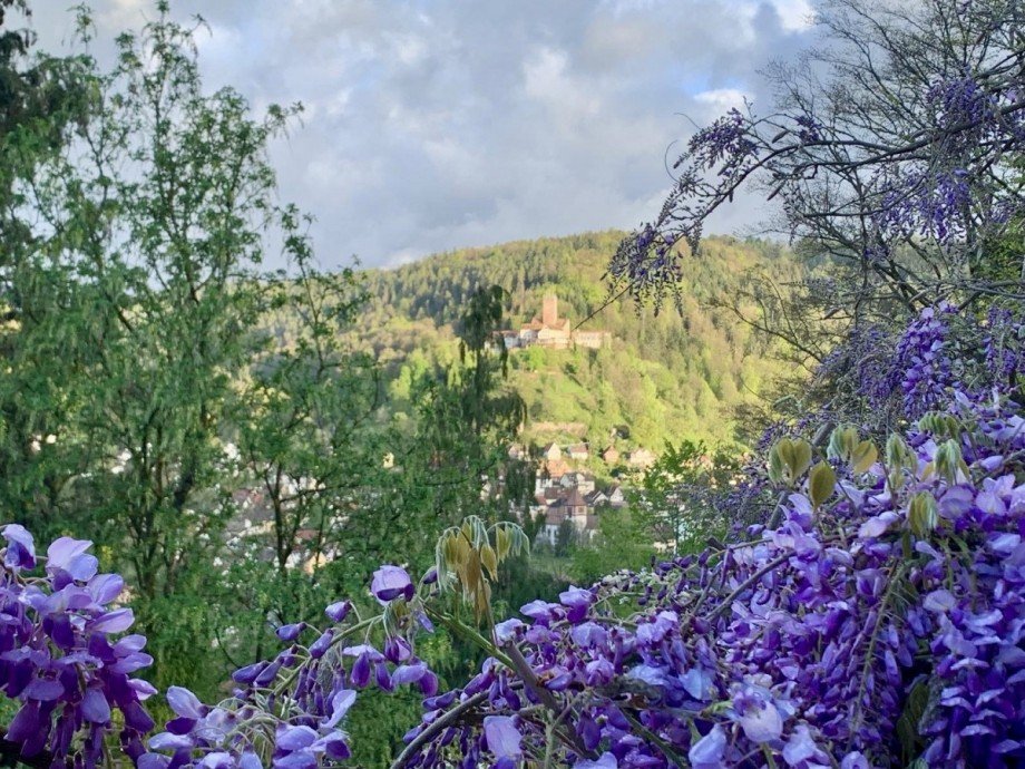 bl�hende Zeit, Aussicht Einfamilienhaus Bad Liebenzell