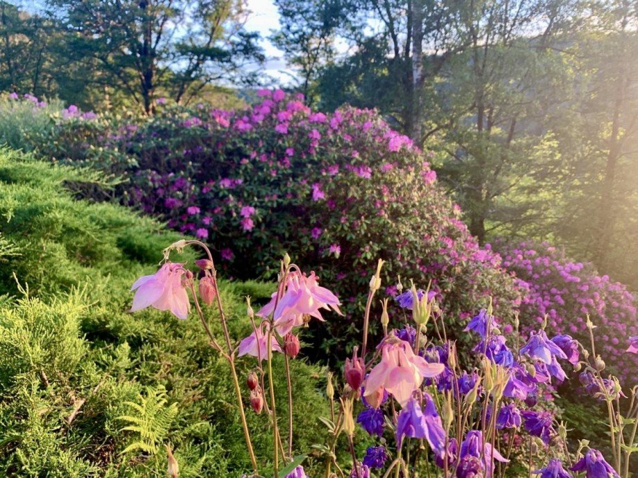 bl�hende Zeit Einfamilienhaus Bad Liebenzell