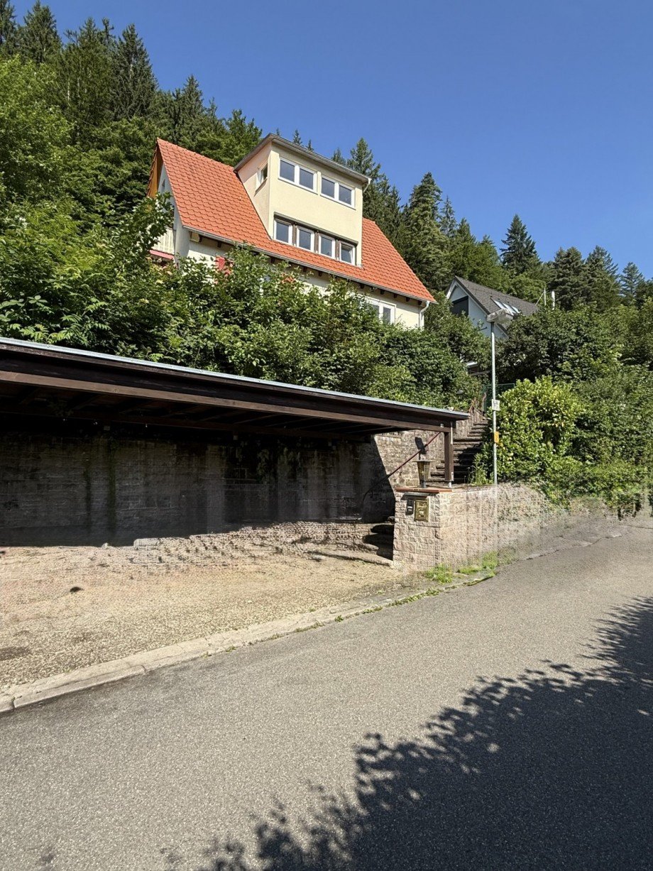 1. Carport + Eingang Einfamilienhaus Calw