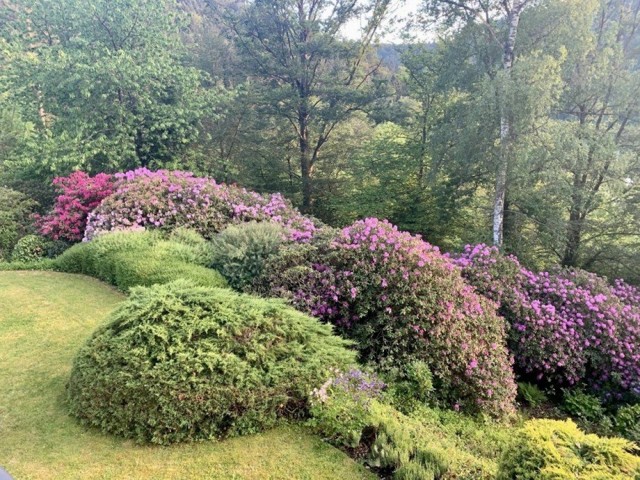 bl�hende Zeit Einfamilienhaus Bad Liebenzell