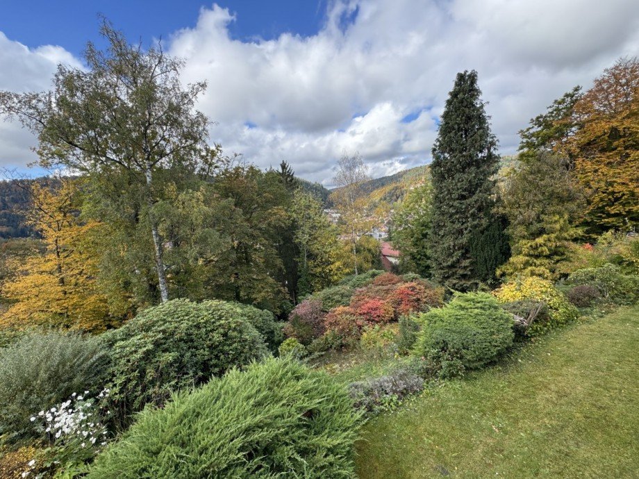 Aussicht Einfamilienhaus Bad Liebenzell
