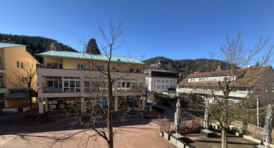 Aussicht Maisonettewohnung Bad Liebenzell
