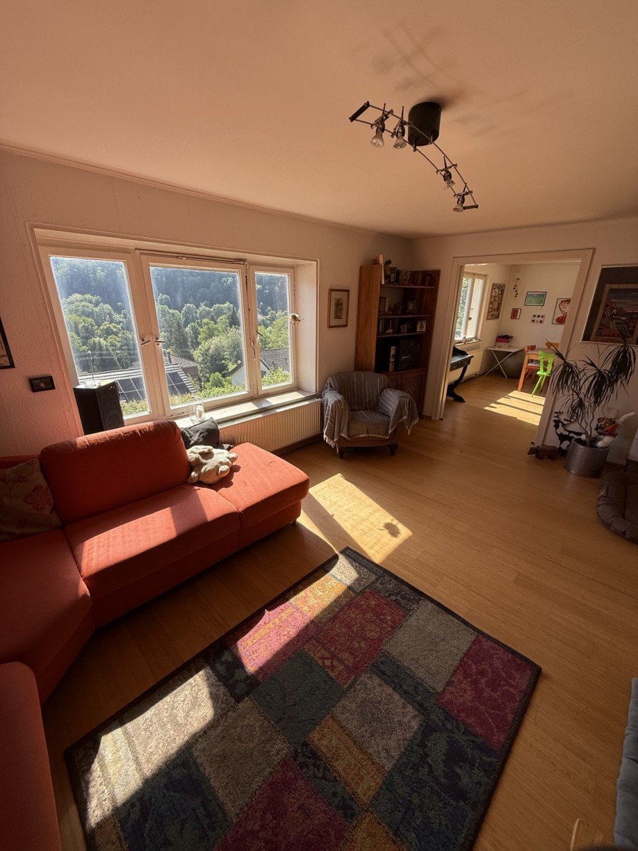 16. Wohnzimmer EG Einfamilienhaus Calw